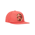 Billionaire Boys Club BB Terra Snapback Hat 'Dubarry'