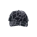 Palm Angels Spider Baseball Cap 'Black/White'