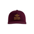 Kith For AMNH Cap 'Magma'