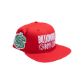 Billionaire Boys Club Dollar Snapback Hat 'Red'
