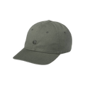 Carhartt WIP Madison Logo Hat 'Salvia'