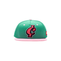 Icecream Make Sense Snapback Hat 'Tidepool'