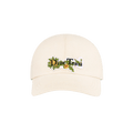 Dior x Denim Tears Baseball Cap 'Beige/Multicolor'