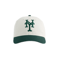 Aimé Leon Dore x New Era Mets Big Logo Ballpark Hat 'Laurel Oak'