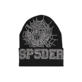 Sp5der Web Beanie 'Black'