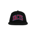 Market NPR Facts 6-Panel Hat 'Black'