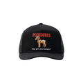 Pleasures Horse Trucker 'Black'