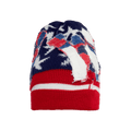 Who Decides War Window Skully Beanie 'Multicolor'