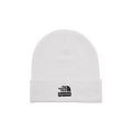 Supreme x The North Face Beanie 'White'