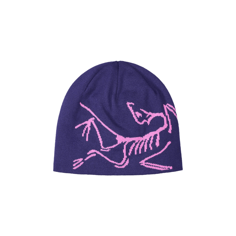 Arc'teryx Lightweight Bird Head Toque 'Soulsonic/Alpen'