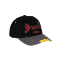Sp5der T&F 6-Panel 'Brown'