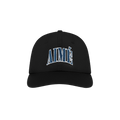Aimé Leon Dore Nylon Crusher Hat 'Black'