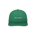Aimé Leon Dore Nylon Sport Hat 'Pine Grove'