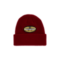 Supreme Terminal Beanie 'Red'