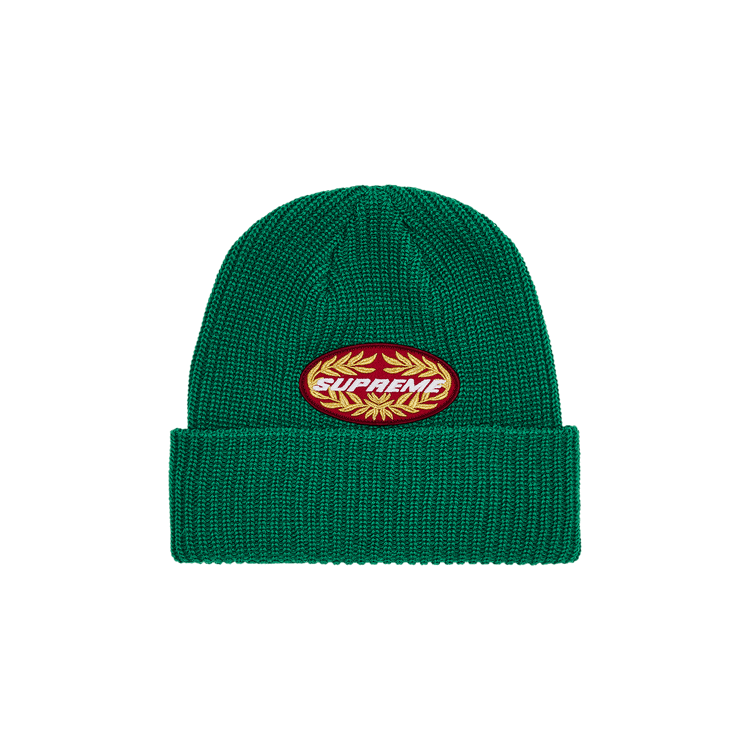 Supreme Terminal Beanie 'Green'