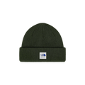 Aimé Leon Dore x The North Face Wool Beanie 'Kombu Green'