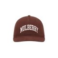 Aimé Leon Dore Collegiate Mulberry Hat 'Chocolate Truffle'