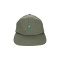 Aimé Leon Dore Brushed Crest Hat 'Green'