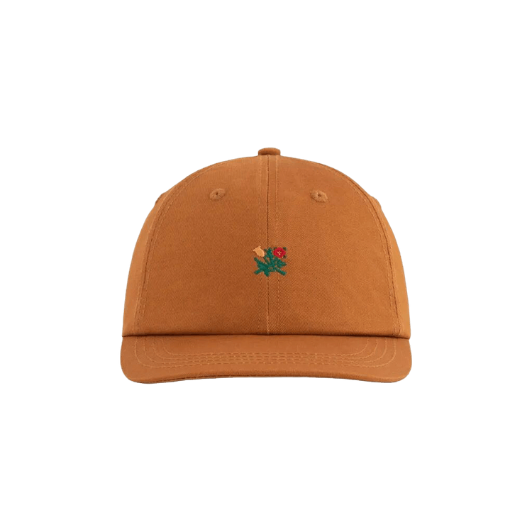 Aimé Leon Dore Brushed Crest Hat 'Brown'
