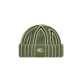 The North Face Urban Explore Beanie 'Bark Mist/Woodland Green/White Dune'