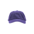 Pleasures Scrawl Polo Cap 'Eggplant'