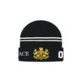 Palace Established Beanie 'Black'