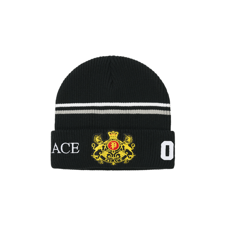 Palace Established Beanie 'Black'