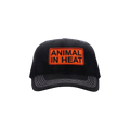 Pleasures Heat Snapback 'Black'