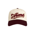 Aimé Leon Dore Cycling Logo Hat 'Pristine'