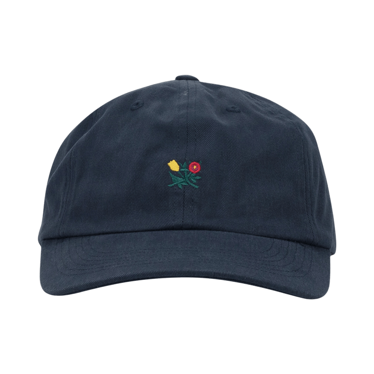 Aimé Leon Dore Brushed Crest Hat 'Blue'