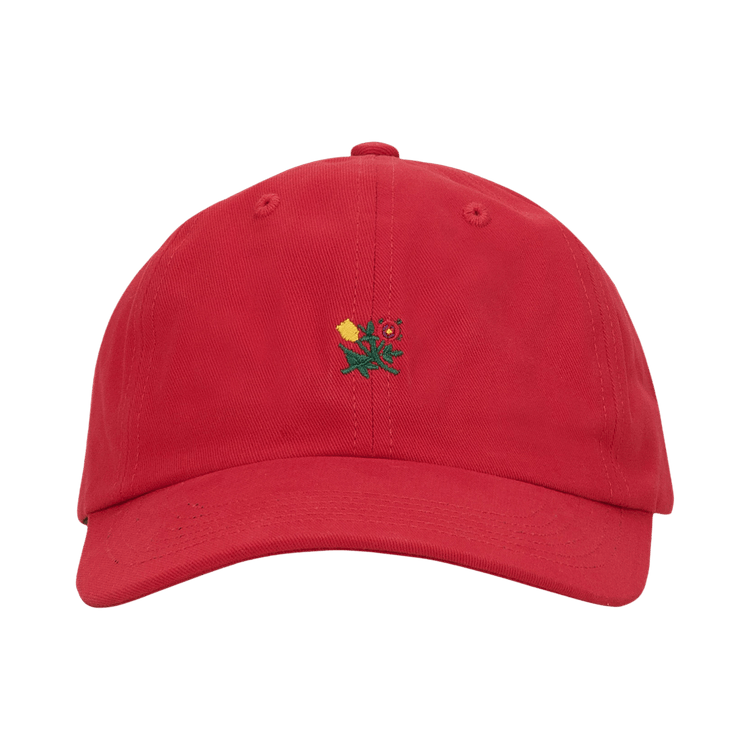 Aimé Leon Dore Brushed Crest Hat 'Red'