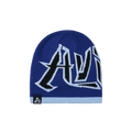 Palace x Avirex Nein Cuff Beanie 'Blue'