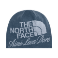 Aimé Leon Dore x The North Face Jacquard Beanie 'Granite Grey'