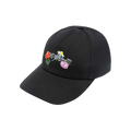 Off-White Embroidered Canvas Baseball Cap 'Black/Multicolor'
