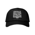 Awake NY Six Panel Hat 'Black'
