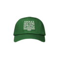Awake NY Six Panel Hat 'Green'