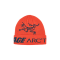 Palace x Arc'teryx Beanie 'Dynasty'