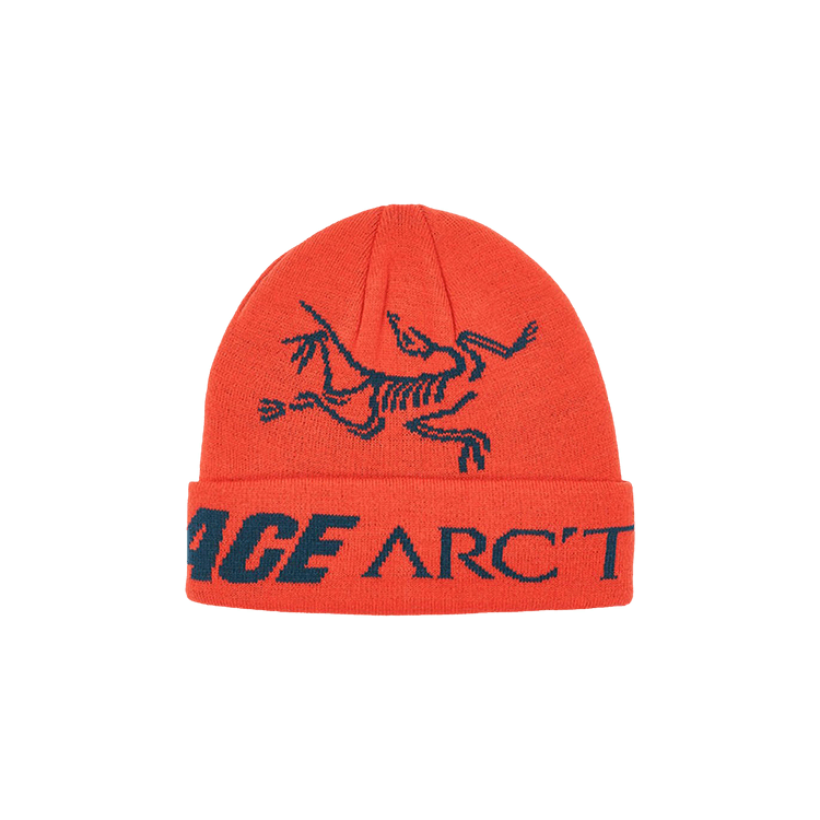 Palace x Arc'teryx Beanie 'Dynasty'