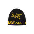 Palace x Arc'teryx Beanie 'Black'