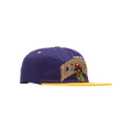 Icecream Basket Snapback Hat 'Acai'