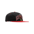 Icecream Basket Snapback Hat 'Black'