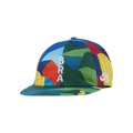 Nike SB x Parra Brazil Federation Kit Skate Cap 'Clover/White'