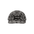 Awake NY Big Paisley 5 Panel Cap 'Black'