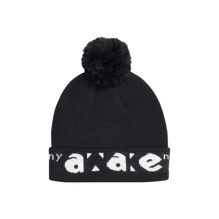 Awake NY Block Out Logo Beanie 'Black'