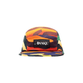 Awake NY Sam Friedman 5 Panel Cap 'Multicolor'