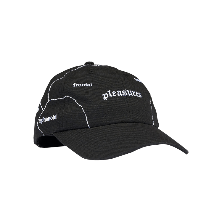 Pleasures Think 6 Panel Hat 'Black'